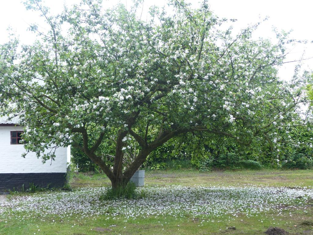 Kristiansminde Farm Holiday Tistrup Exterior foto